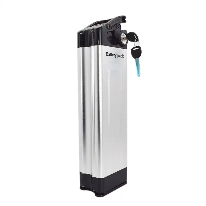 Ceallraí Éisc Airgid 36v